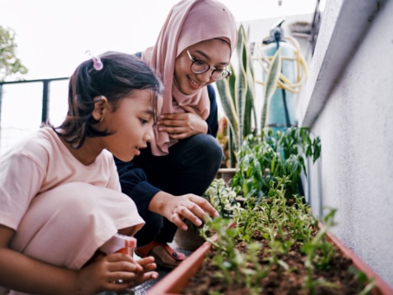 Soalan Lazim: Perubahan Syarikat Pengurusan untuk Amanah Hartanah Bumiputera (AHB)